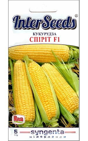 Кукуруза Сахарная Спирит F1 (Spirit F1) Riva Trade