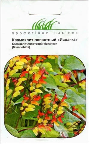 Квамоклит Испанка