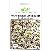 Лобулярия Снежинка