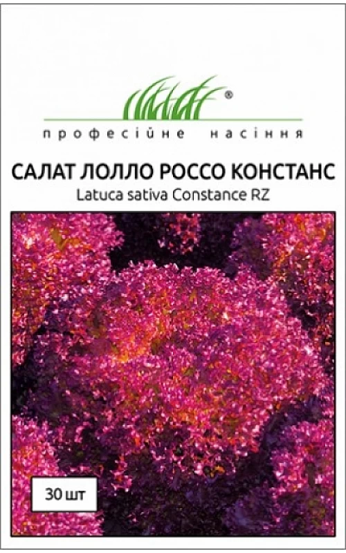Лолло Россо Констанс (Сonstance)