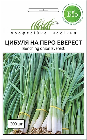Лук Эверест 