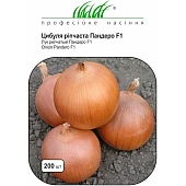 Цибуля Пандеро F1 (Pandero F1) 