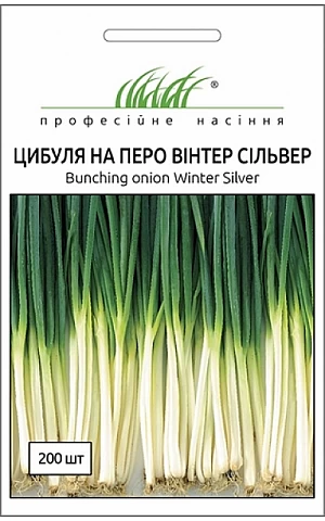 Цибуля Вінтер Сільвер 