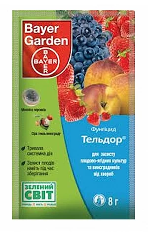 Магникур Гард (Тельдор) 50 в.г.