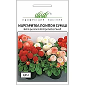 Маргаритка Помпон суміш