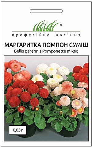 Маргаритка Помпон суміш