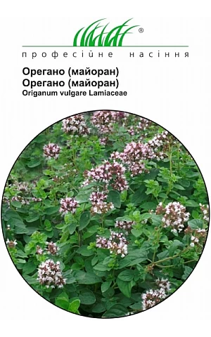 Майоран (Орегано) 