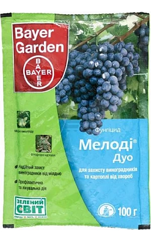 Мелоді Дуо с.п.