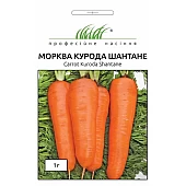 Морковь Курода Шантане 