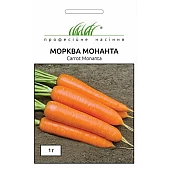 Морква Монанта (Monanta)