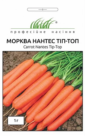 Морковь Нантес Тип-Топ 