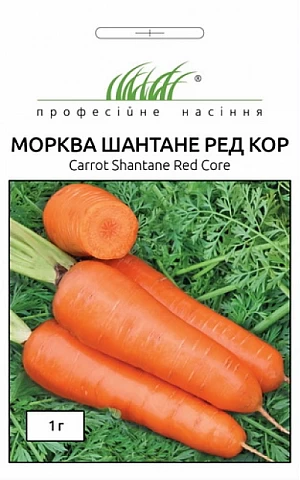 Морковь Шантане Ред Кор 