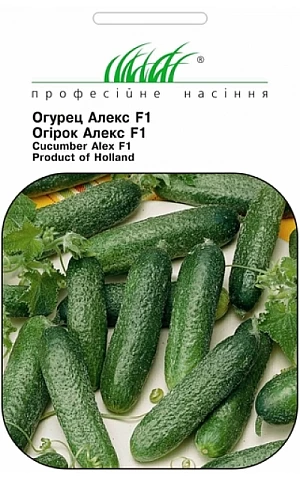 Огурец Алекс F1 (Alex F1) 