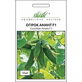 Огурец Амант (Аmant) F1 