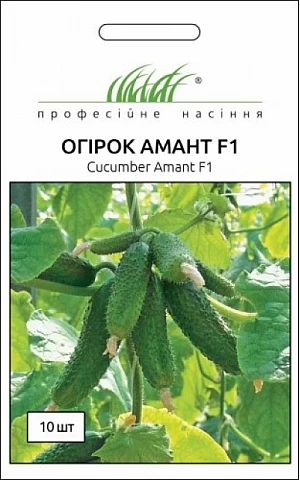 Огурец Амант (Аmant) F1 
