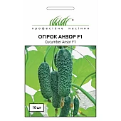 Огірок Анзор F1 (Anzor F1) 