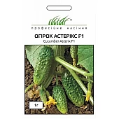 Огірок Астерикс F1 (Asterix F1) 