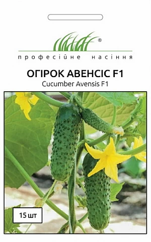 Огірок Аванс (Авенсіс) F1 