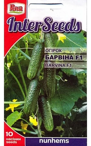 Огурец Барвина F1 (Barvina F1)  Riva Trade
