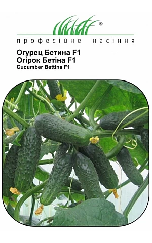 Огурец Бетина F1 (Betina F1) 