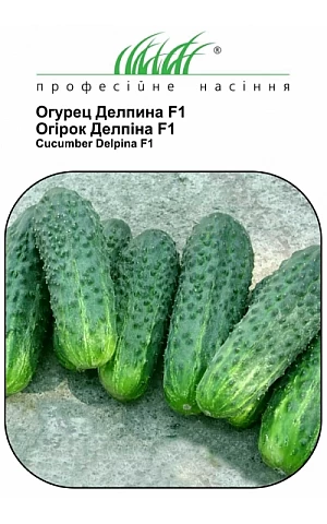 Огурец Делпина F1 (Delpina F1)