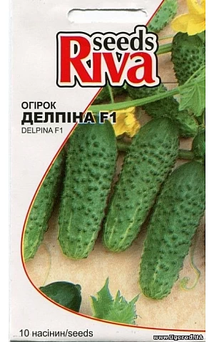 Огурец Делпина F1 (Delpina F1) Riva Trade