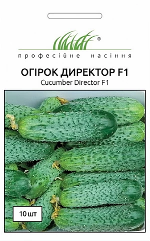 Огурец Директор F1 (Director F1) 