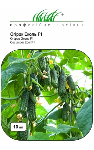 Огірок Еколь F1 (Ekol F1) 