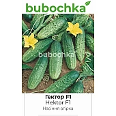 Огурец Гектор F1