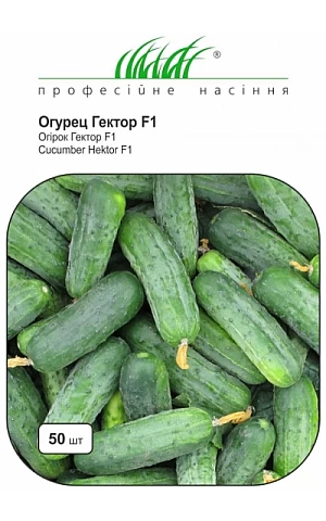 Огурец Гектор F1 (Hektor F1) 