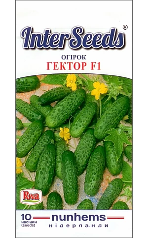 Огурец Гектор F1 (Hektor F1) Riva Trade