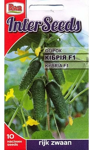 Огурец Кибрия F1 (Kybria F1) Riva Trade
