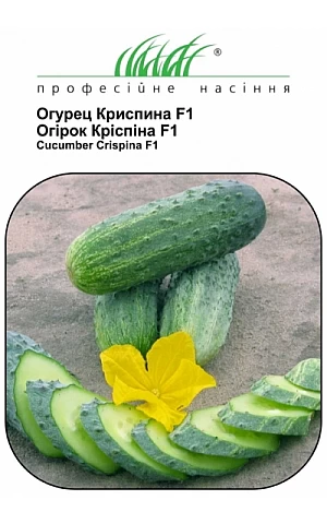 Огурец Криспина F1 (Crispina F1)  