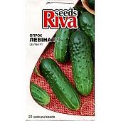 Огурец Левина F1 Riva Trade