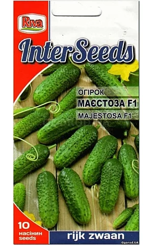 Огурец Маестоза F1 (Majestosa F1)  Riva Trade