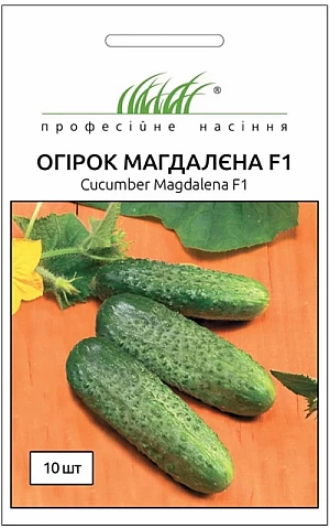 Огірок Магдалена F1 