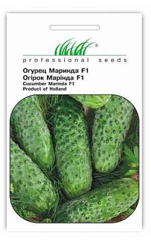 Огірок Марінда F1 (Marinda F1)