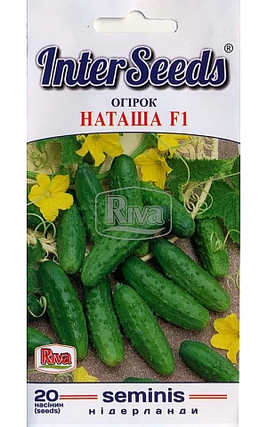 Огірок Наташа F1 (Natasha F1) Riva Trade