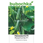 Огурец Пасамонте F1