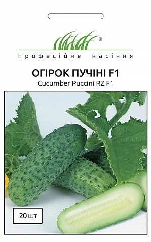 Огурец Пучини (Puccini F1) 