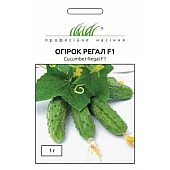 Огурец Регал F1 (Regal F1) 