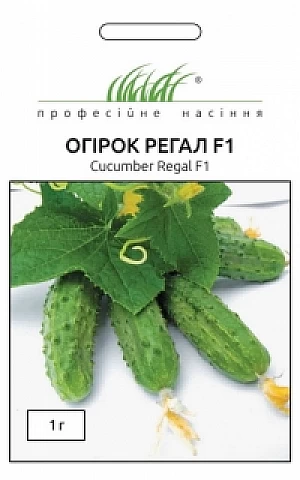 Огурец Регал F1 (Regal F1) 