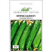 Огурец Салим F1