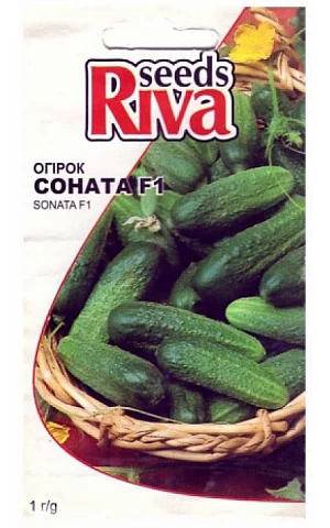 Огурец Соната F1 (Sonate F1) Riva Trade
