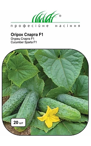 Огурец Спарта F1 (Sparta F1)