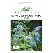Огуречная трава Бораго 