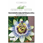 Пассифлора Кавалерийская звезда 