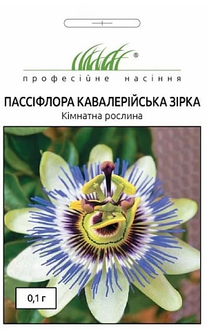Пассифлора Кавалерийская звезда 