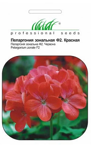 Пеларгония красная 