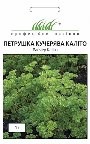 Петрушка кучерява Каліто 